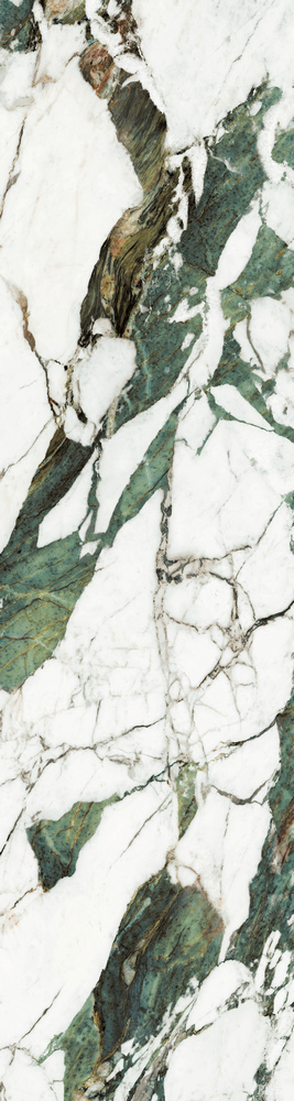 EXOTIC WHITE