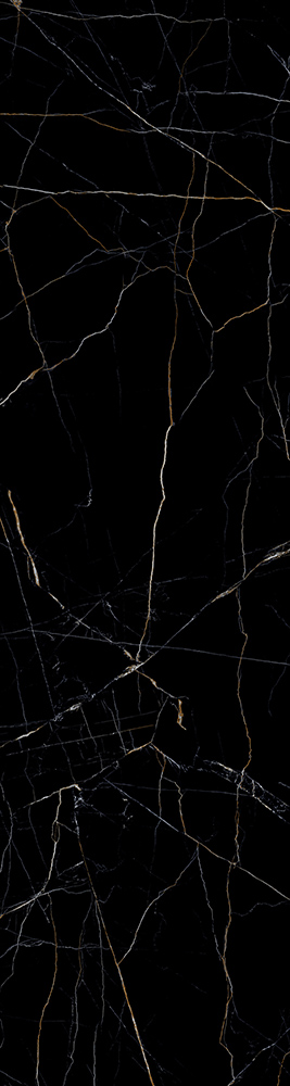 VEINS BLACK